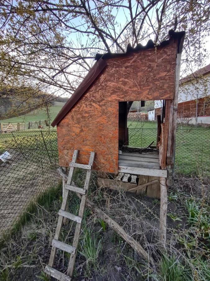 Pensiunea Ghita Vasile Vadu Izei Exterior foto