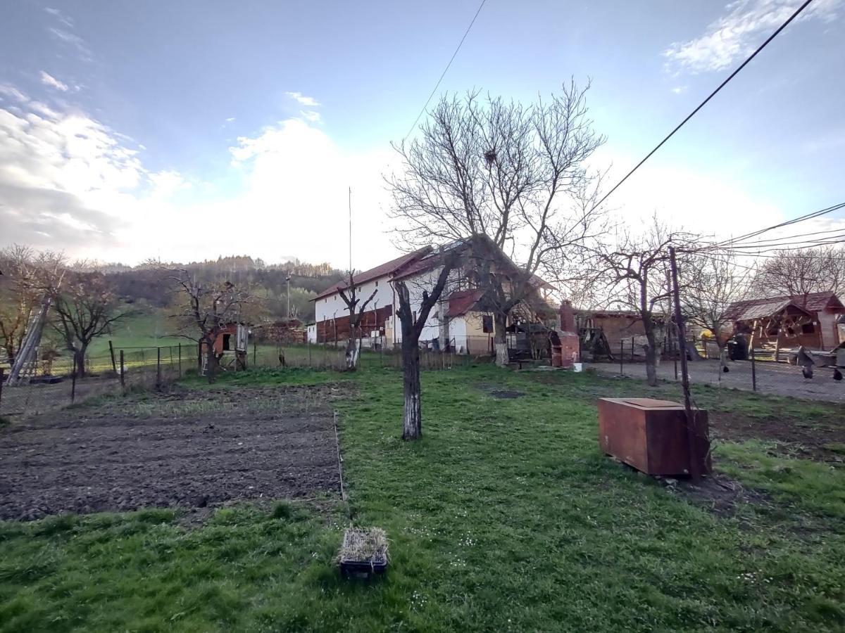 Pensiunea Ghita Vasile Vadu Izei Exterior foto
